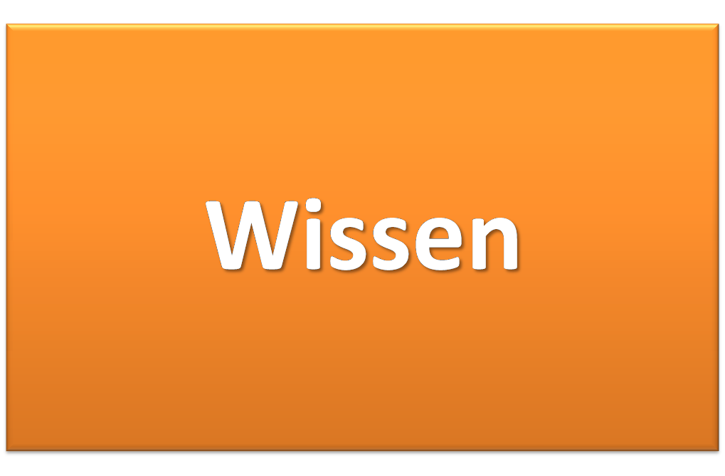 Wissen als Erfolgsbaustein
